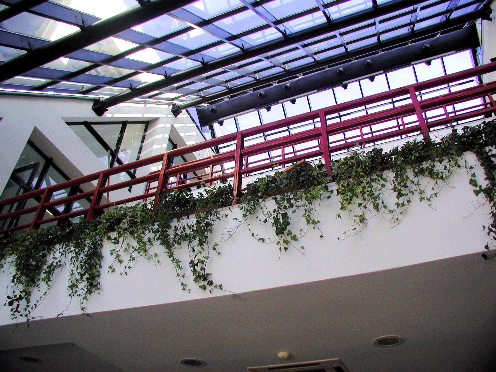 Lourinha_Camara_Municipal_5